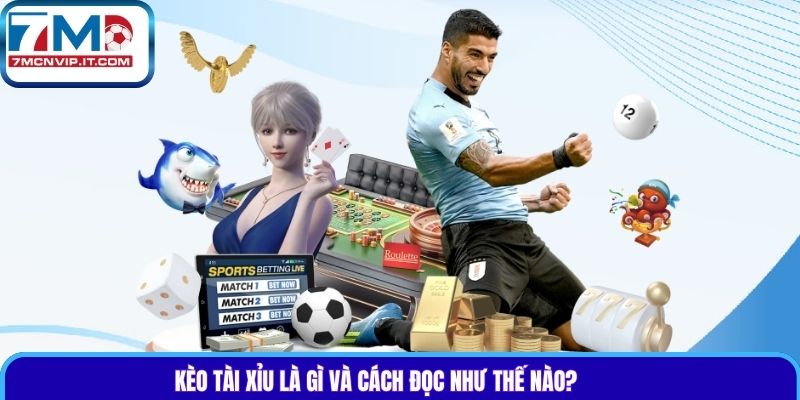 Kèo tài xỉu là gì và cách đọc như thế nào?