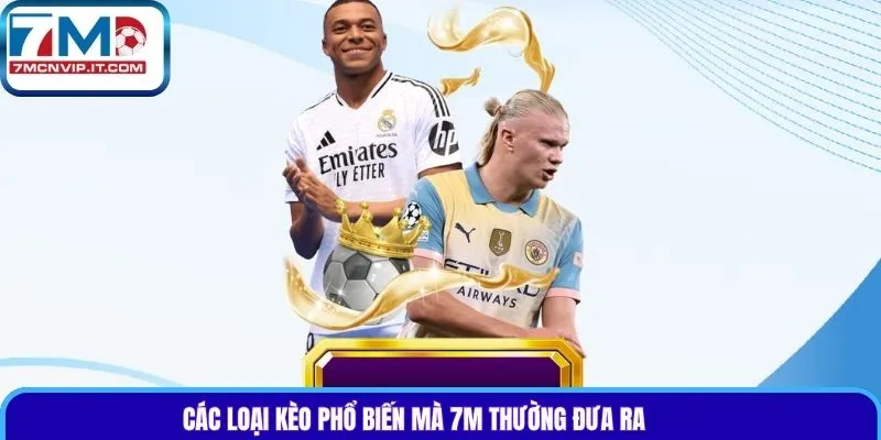 Các loại kèo phổ biến mà 7m thường đưa ra