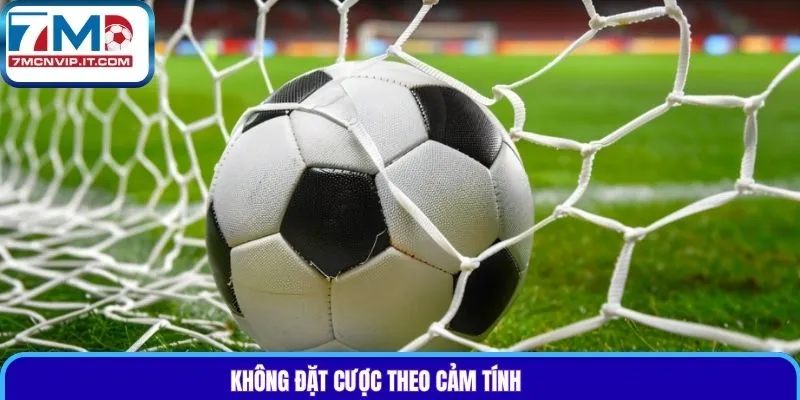 Không đặt cược theo cảm tính