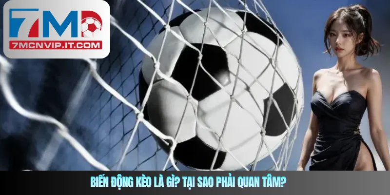 Biến động kèo là gì? Tại sao phải quan tâm?